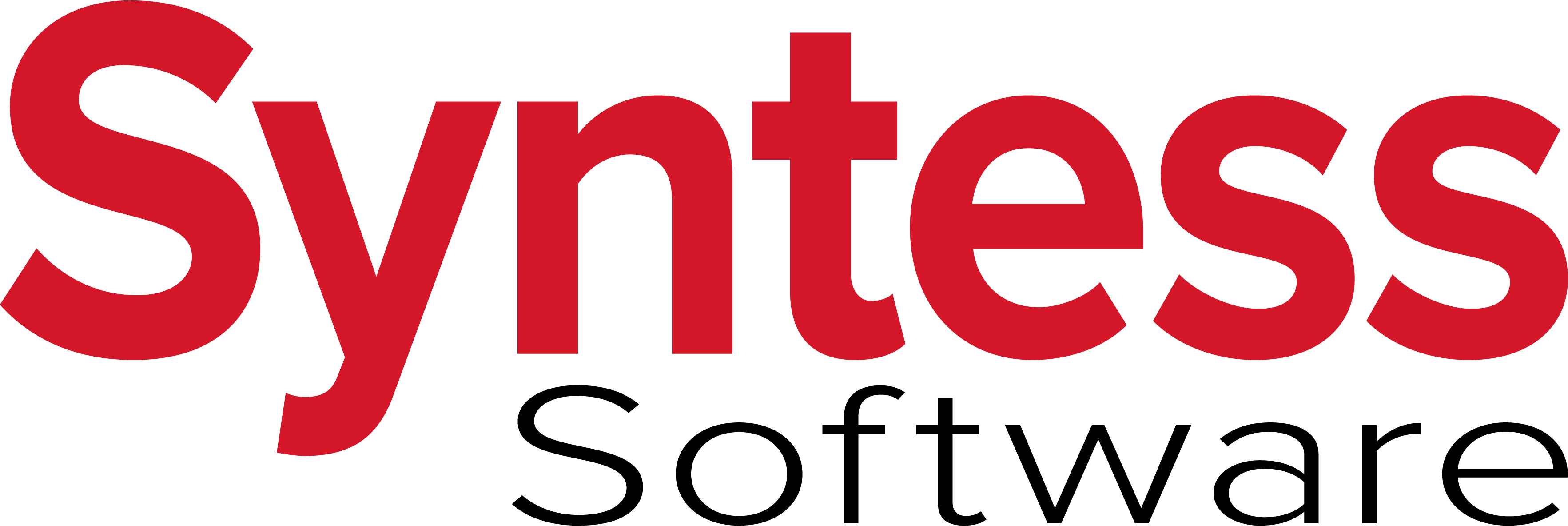 Logo of Syntess Software