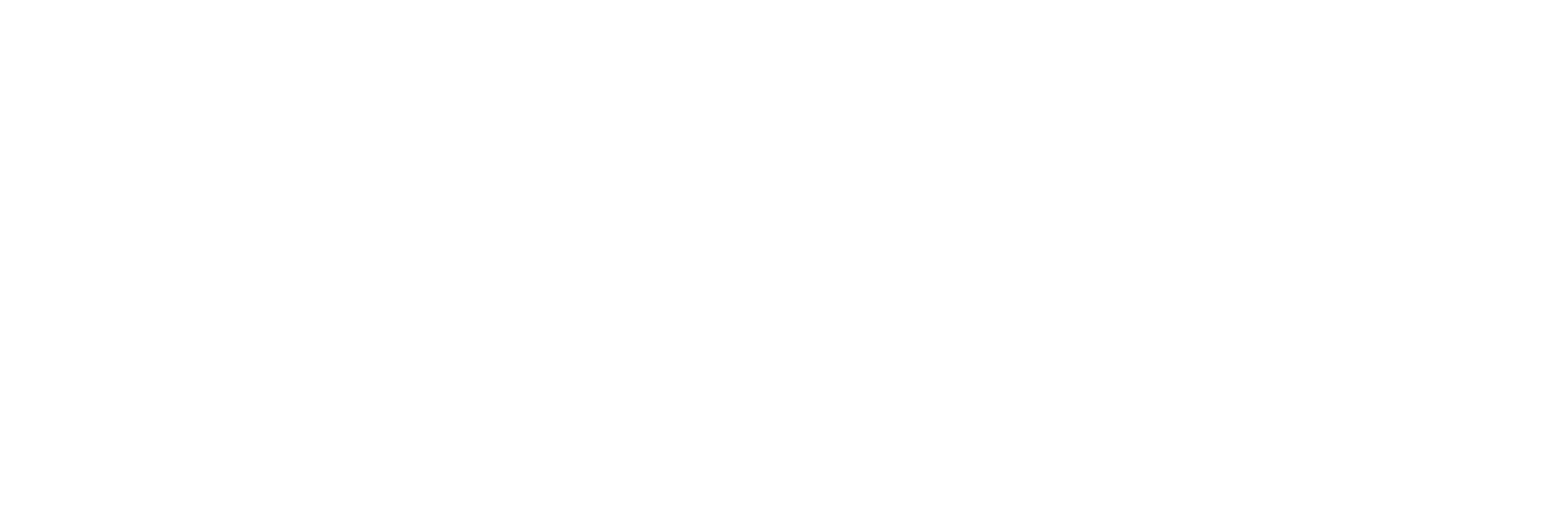 Profile picture of Syntess Software